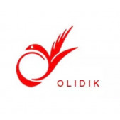 Olidik